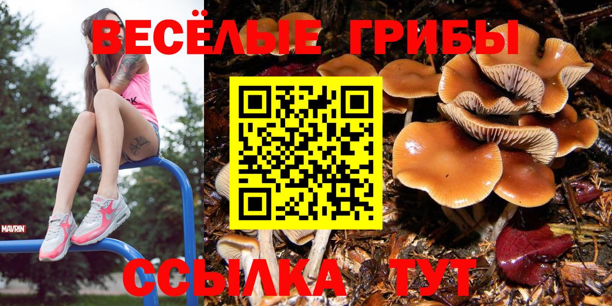 Верхняя Пышма  Псилоцибиновые грибы мицелий  Вход с VPN 